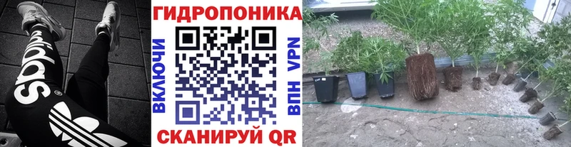 Где можно купить наркотики Алушта Бошки Шишки  Кокаин  ЭКСТАЗИ  Меф мяу мяу  МДМА 