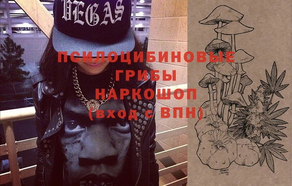 амф Осташков
