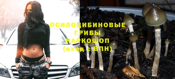 амф Переславль-Залесский