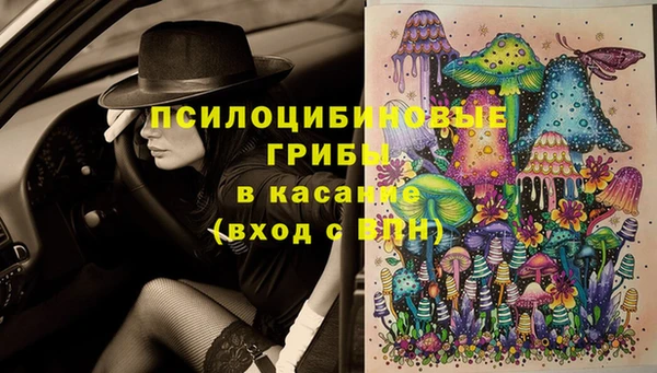 амф Осташков