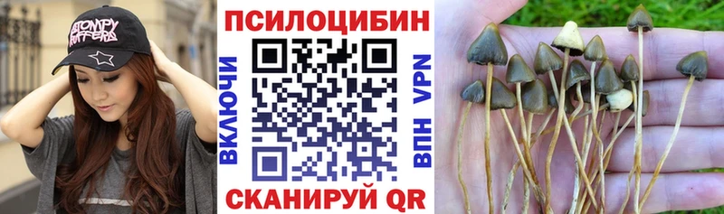 Галлюциногенные грибы прущие грибы  где купить наркоту  Алушта 