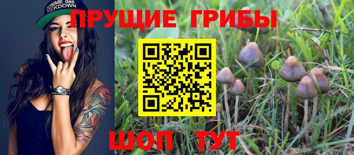 Псилоцибиновые грибы ЛСД  Вход с VPN  Псилоцибиновые грибы Psilocybine cubensis  Алушта 