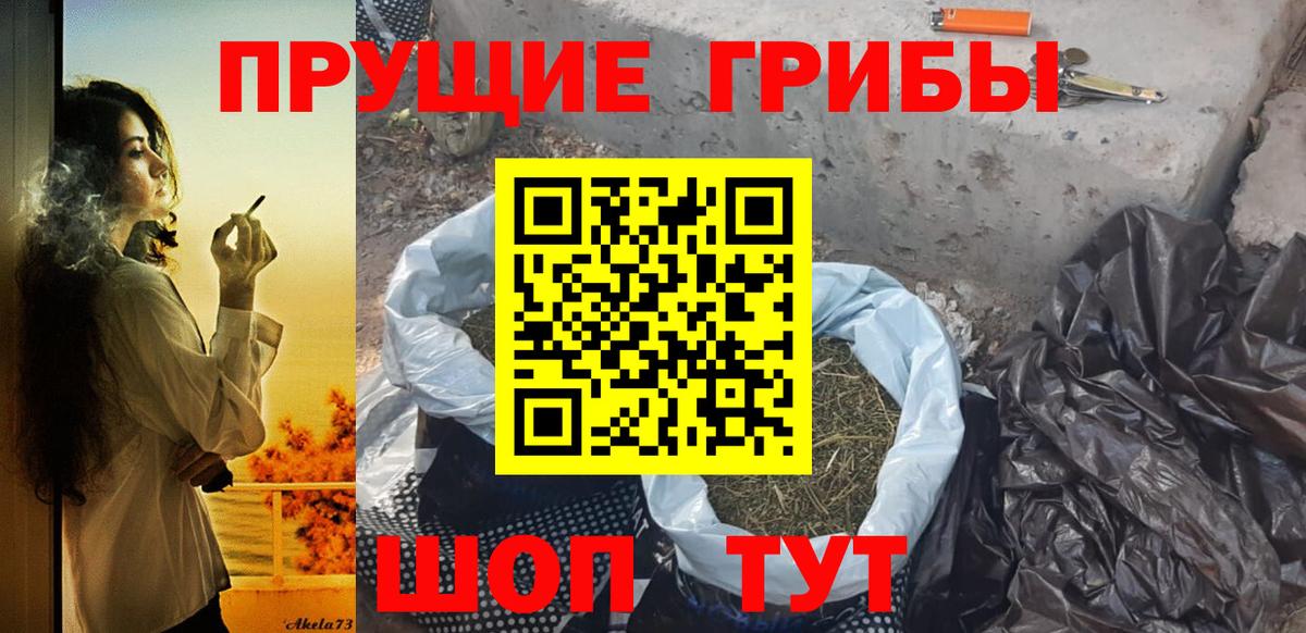 купить наркотик  Алушта  Галлюциногенные грибы Psilocybe 