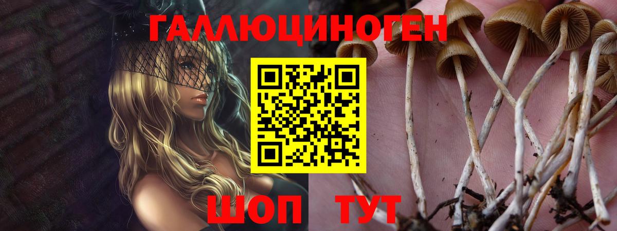 Псилоцибиновые грибы Cubensis Алушта
